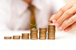 融資寒冬與獨(dú)角獸迷思 風(fēng)險(xiǎn)投資兩極分化如何重塑創(chuàng)業(yè)生態(tài)